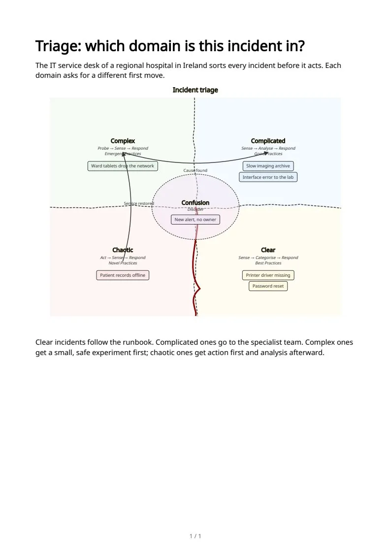 Cynefin frameworks, page 1 of 1