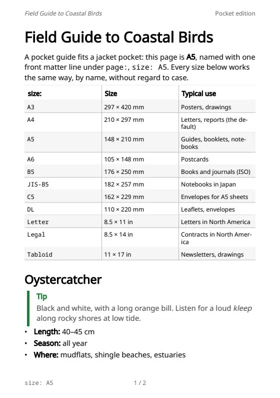 Paper format, page 1 of 2